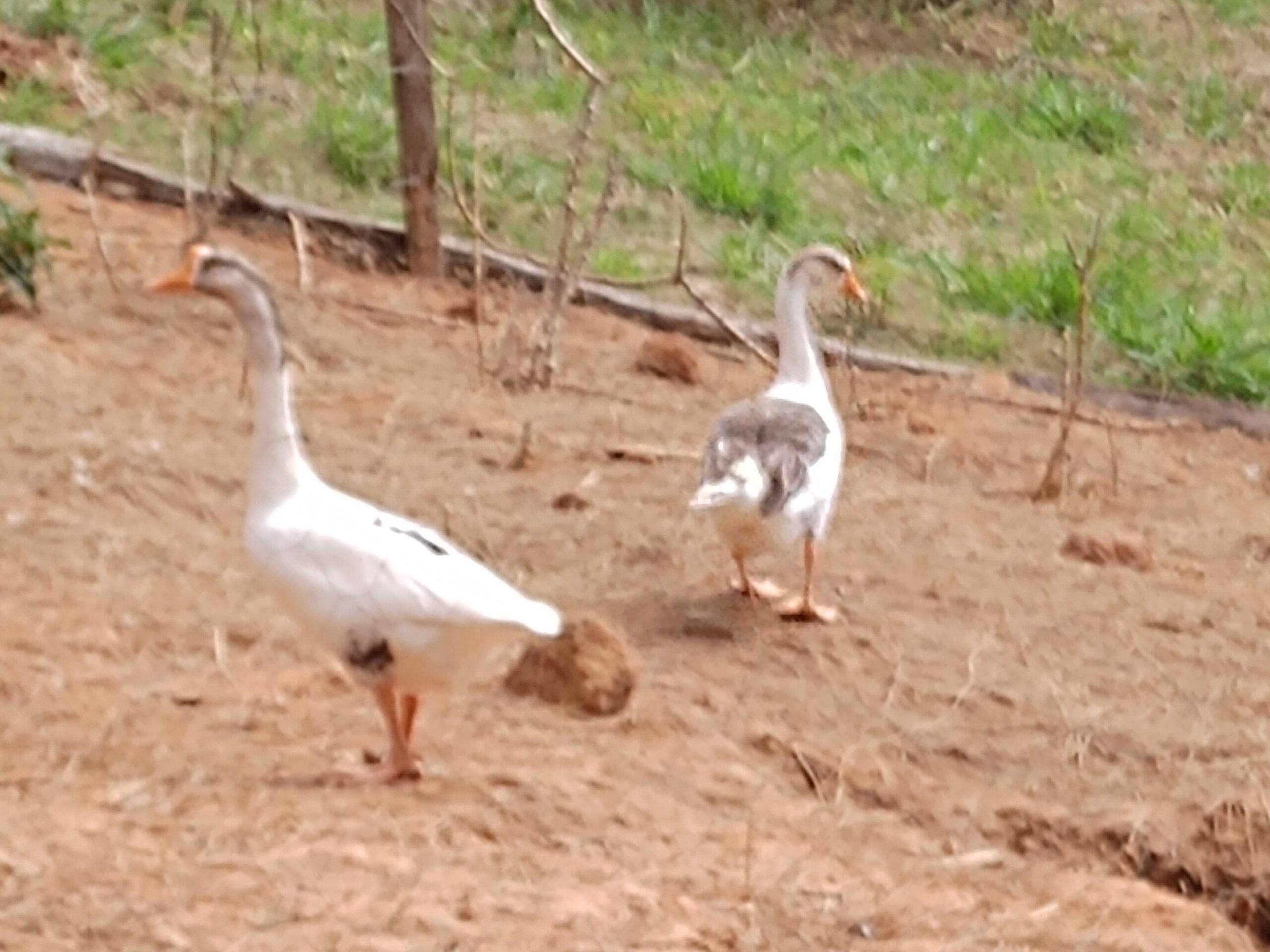 IMG_20210508_121147825