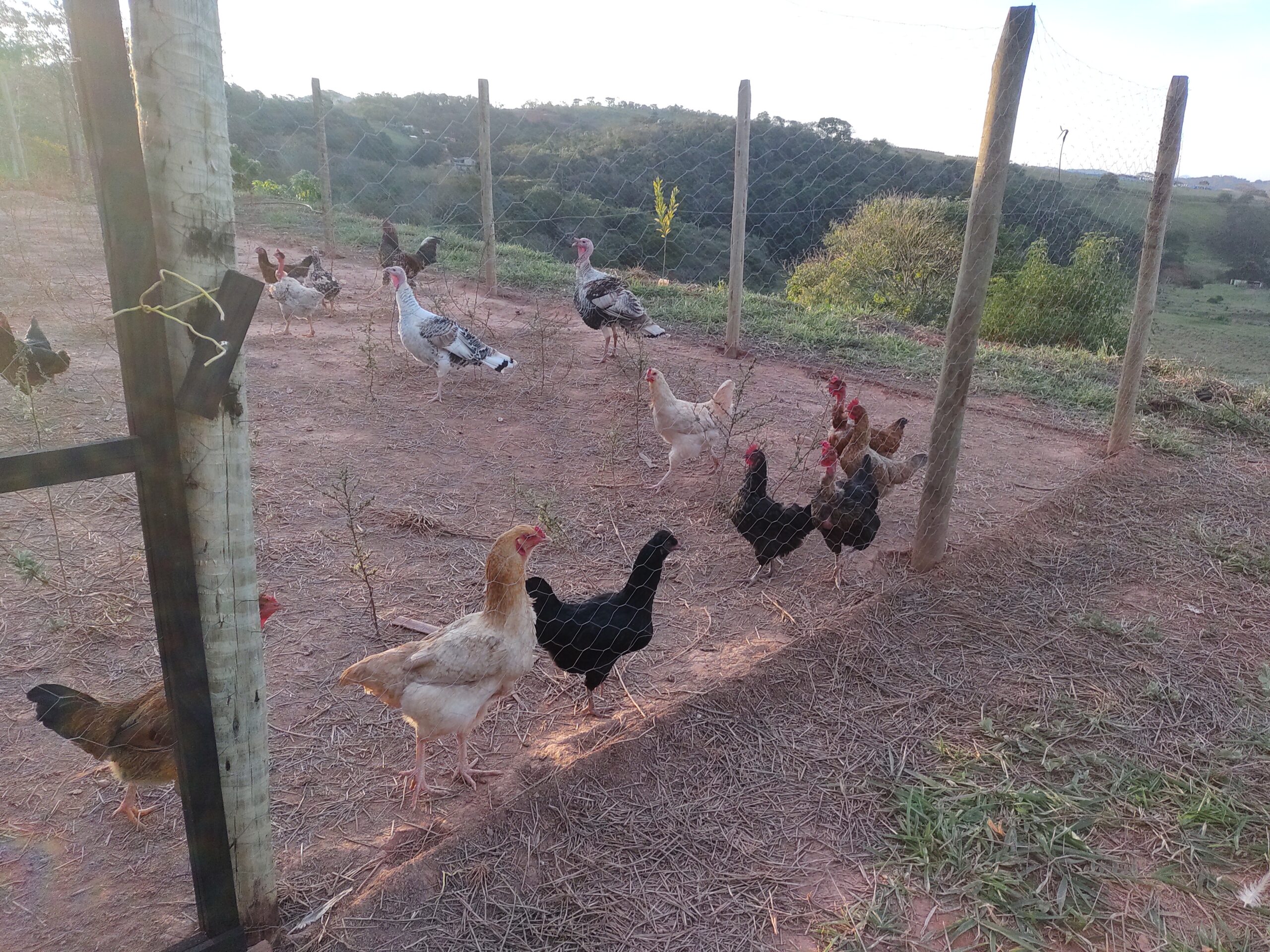 IMG_20210703_164959633