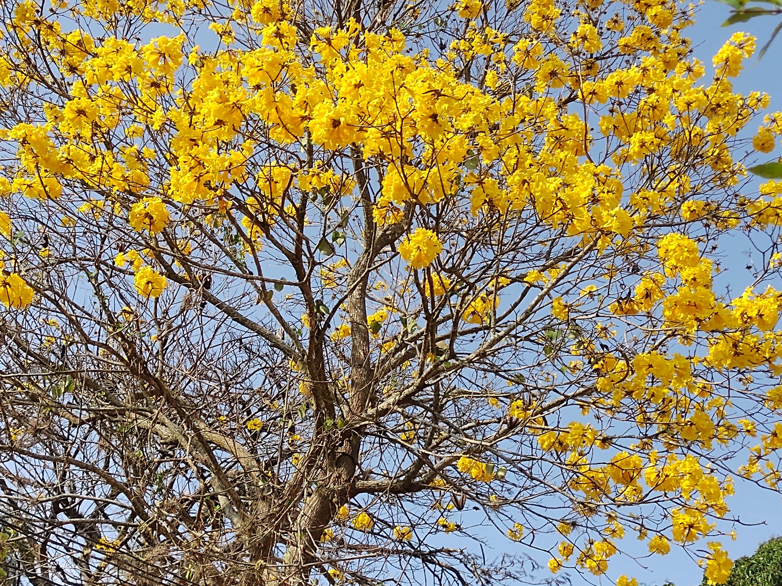 IMG_20210827_084625110