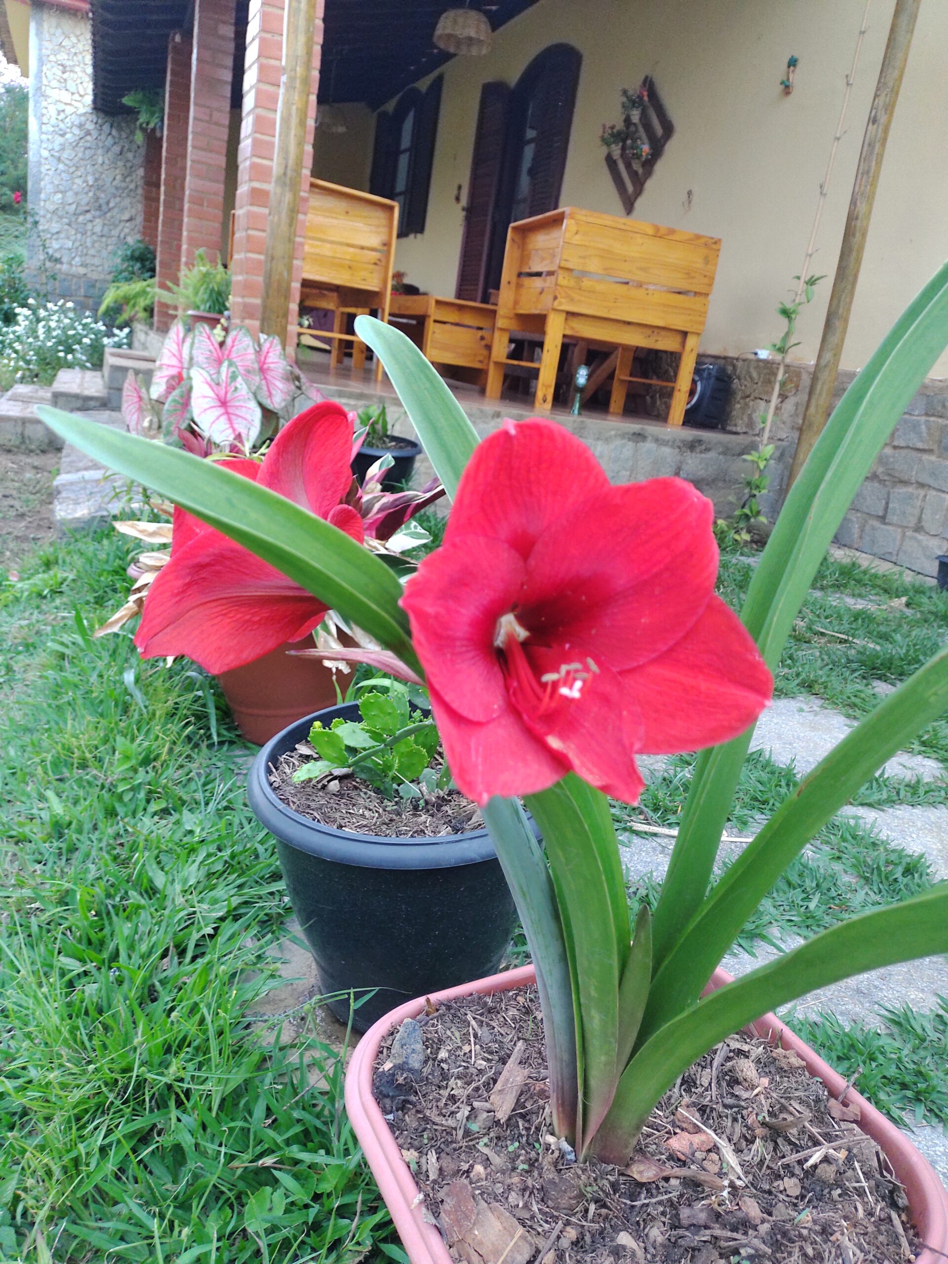 IMG_20211002_174158696