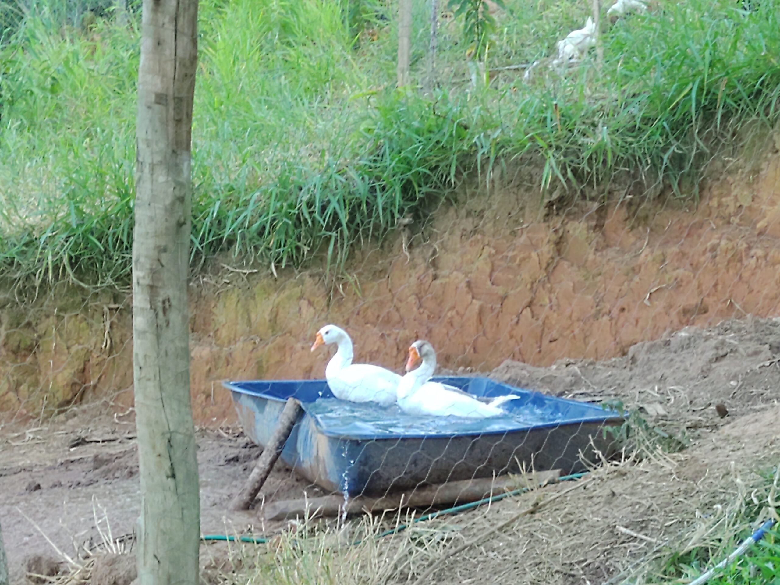 IMG_20211210_170843950