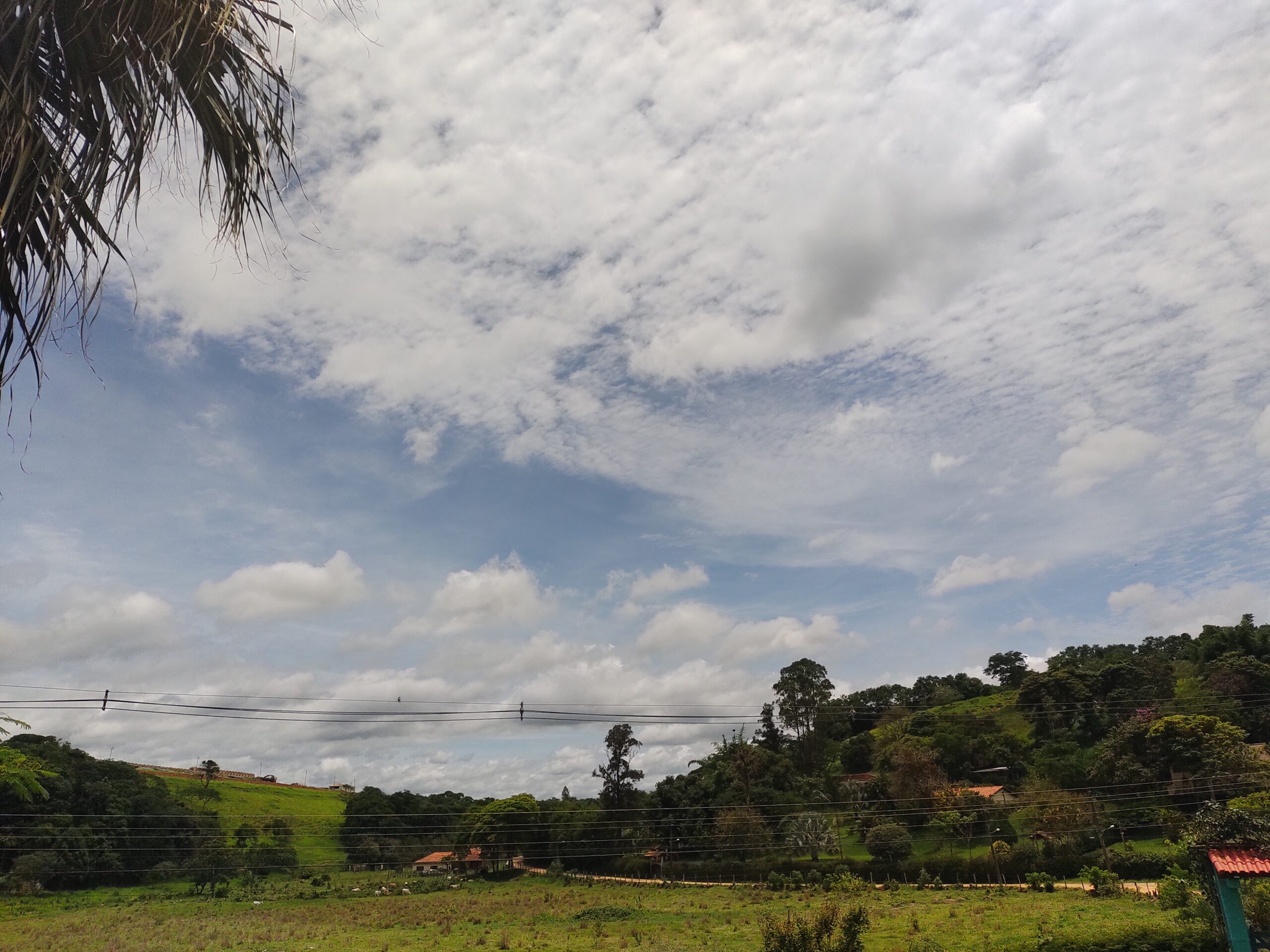 IMG_20211213_110605894