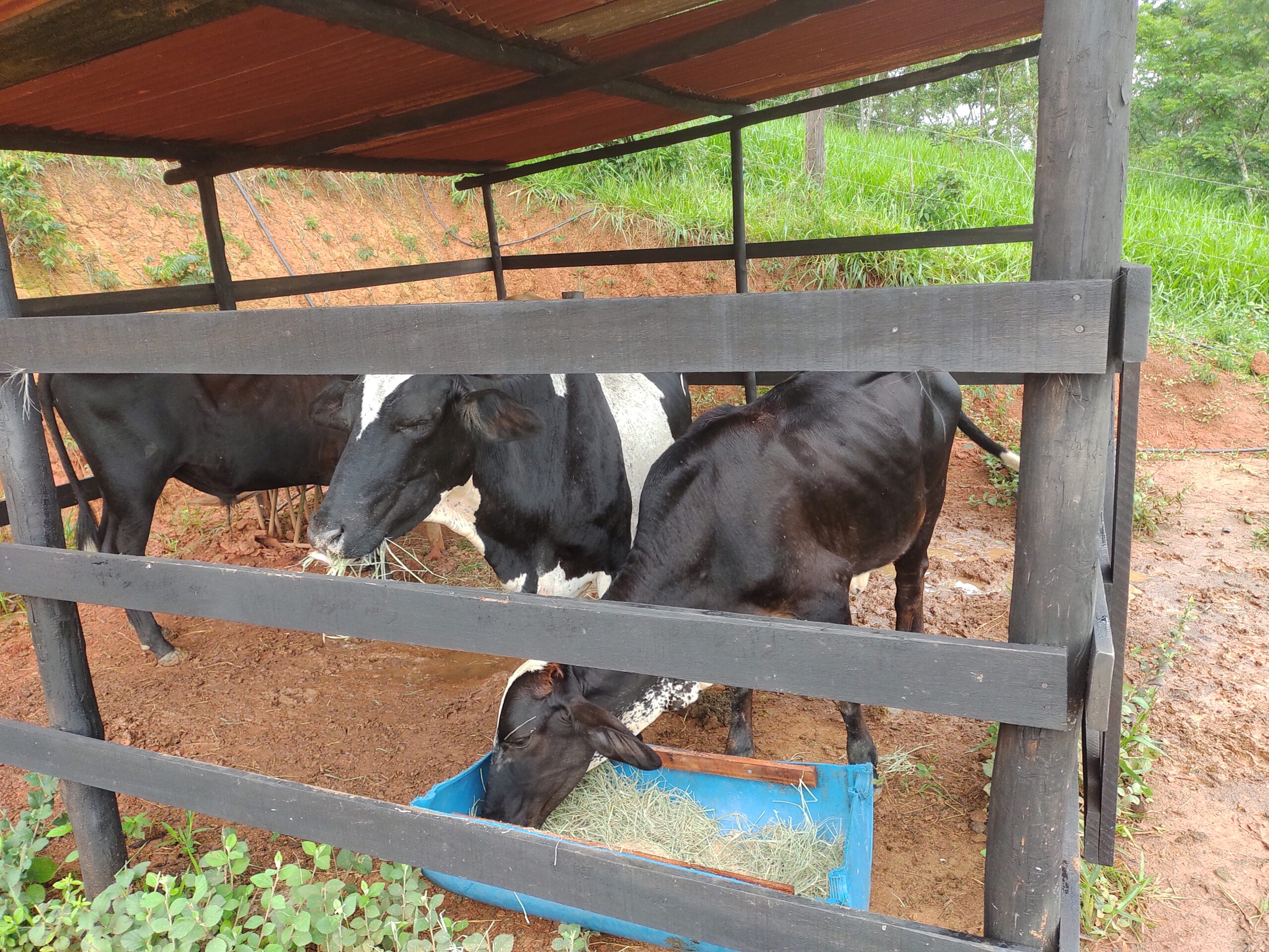 IMG_20211216_065412068