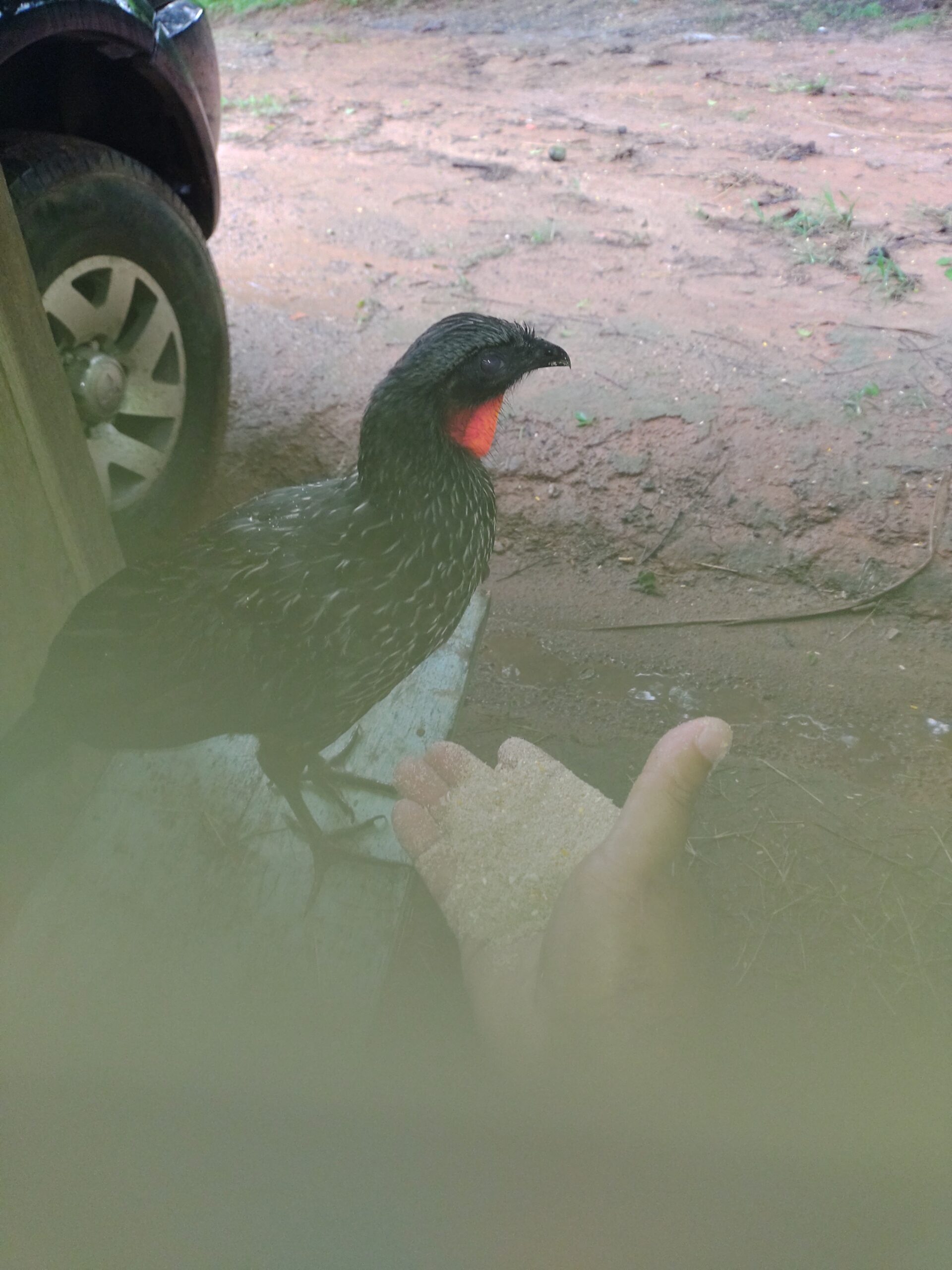 IMG_20211231_104232185