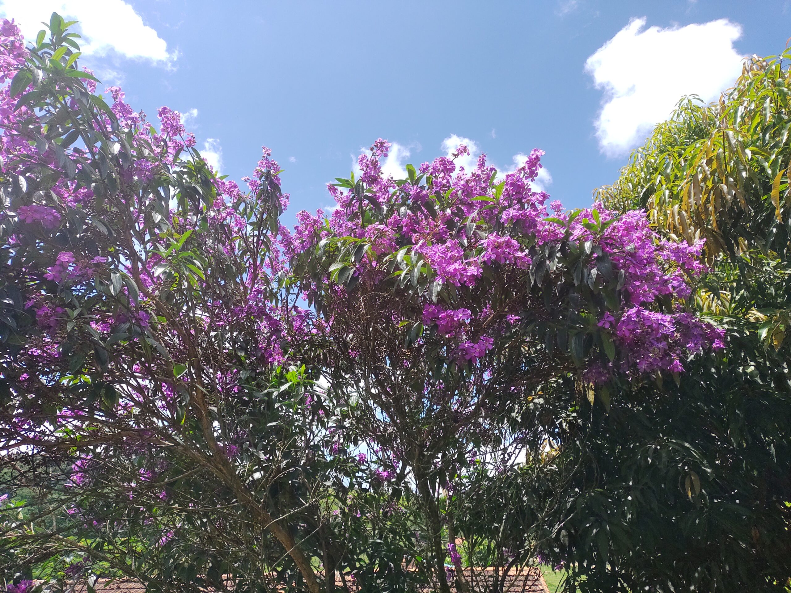 IMG_20220205_131142356