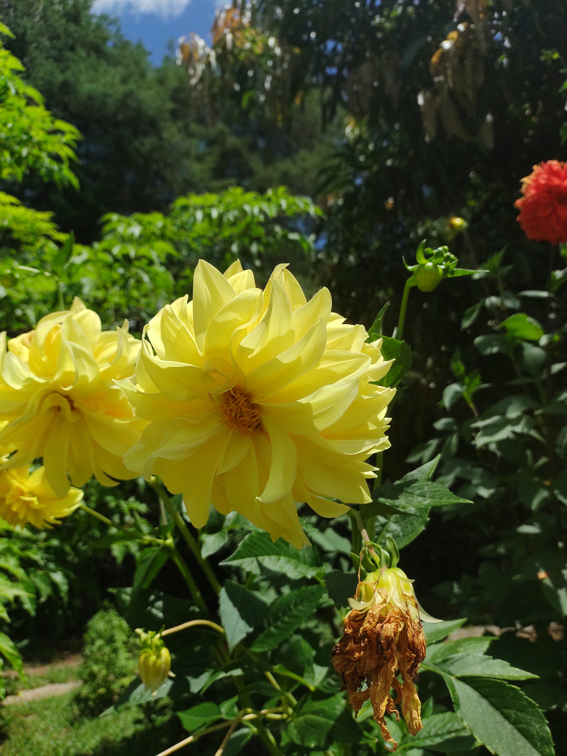 IMG_20220205_131218665