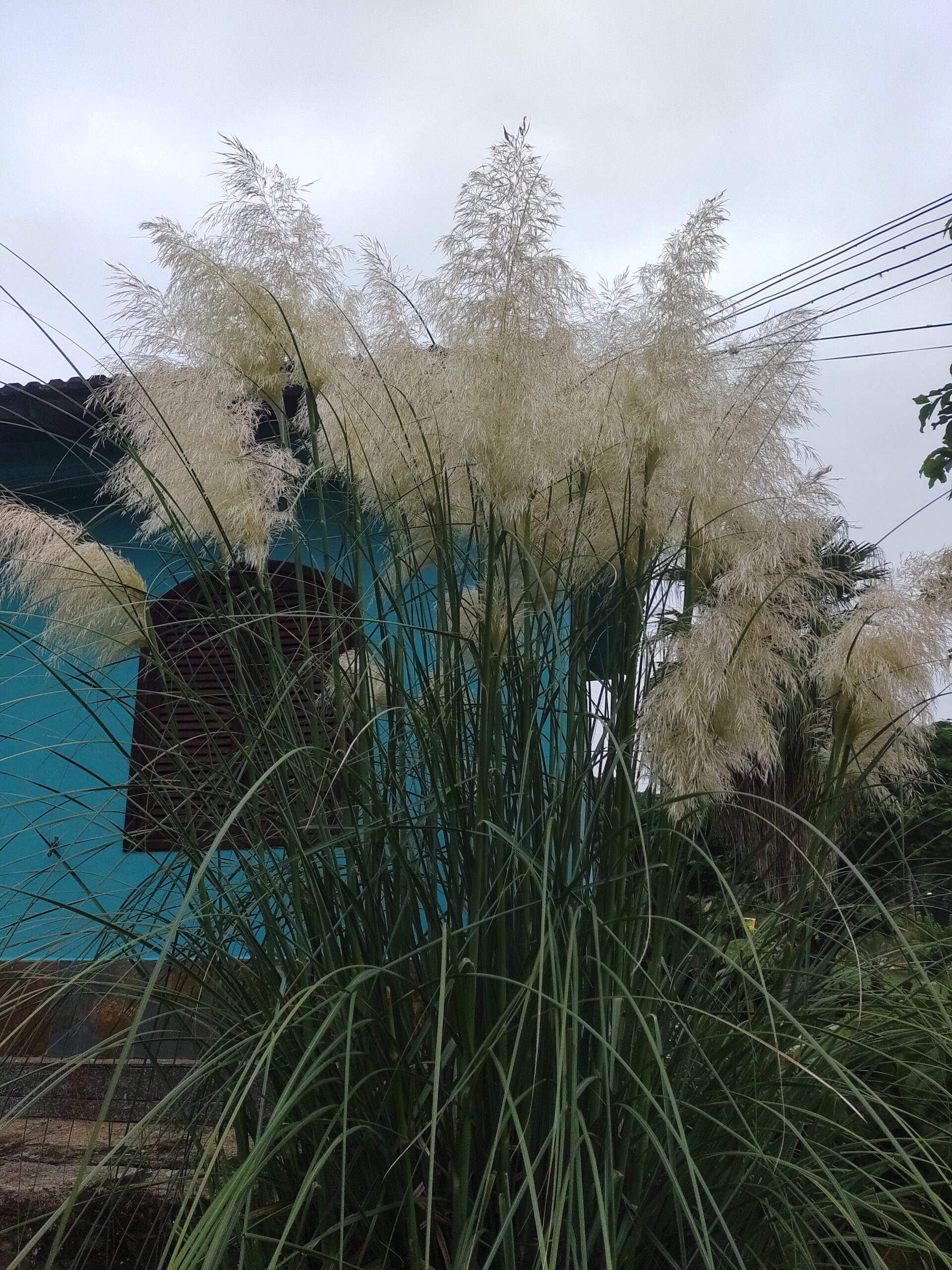 IMG_20220224_082650838