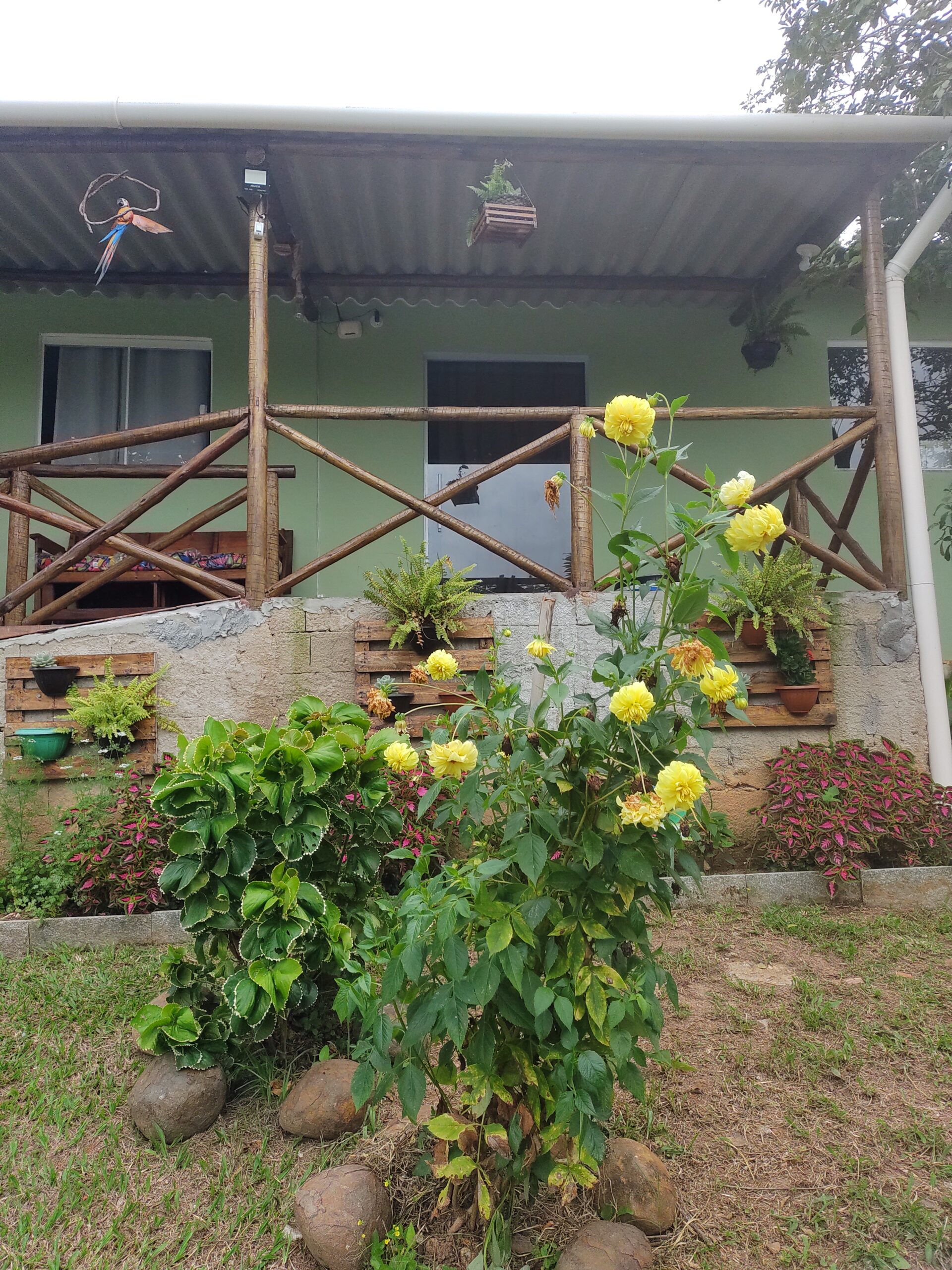 IMG_20220226_104950702