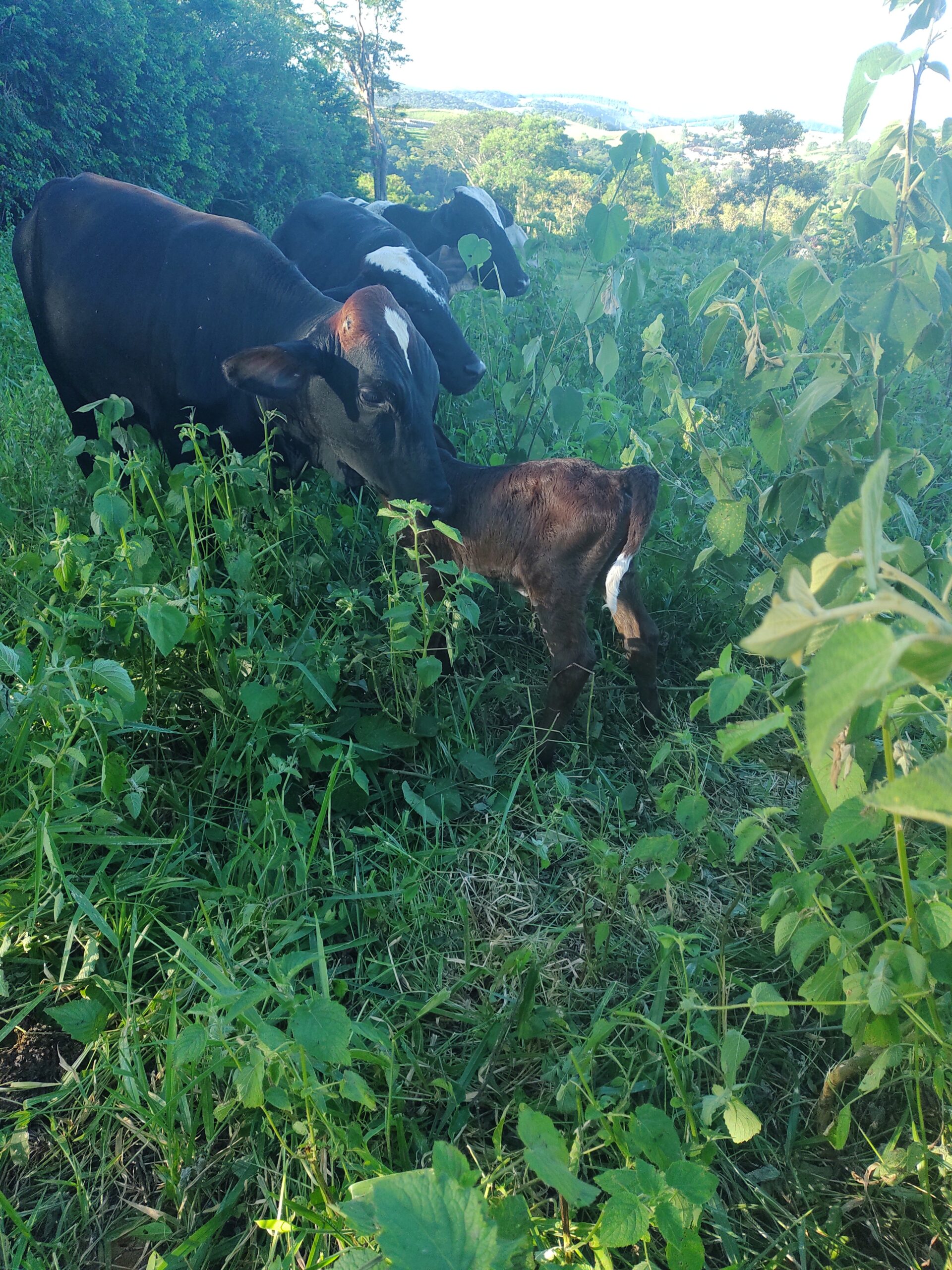 IMG_20220307_170937695