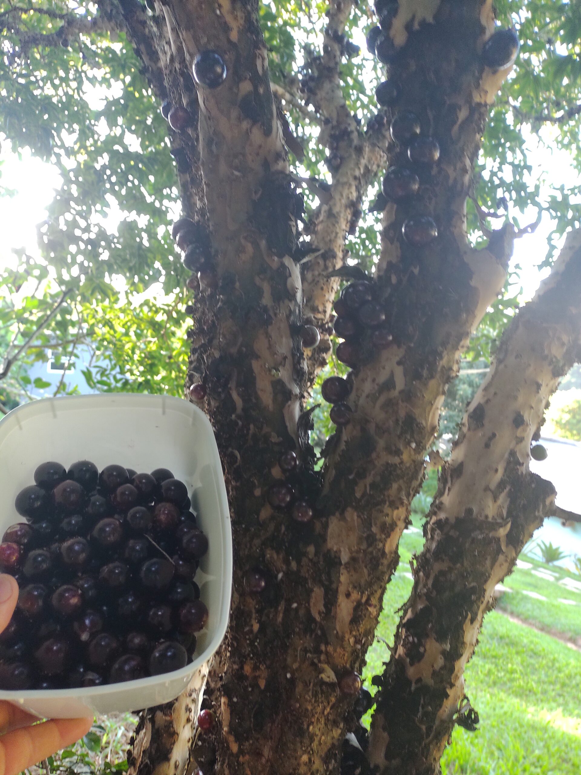 IMG_20220308_172308152