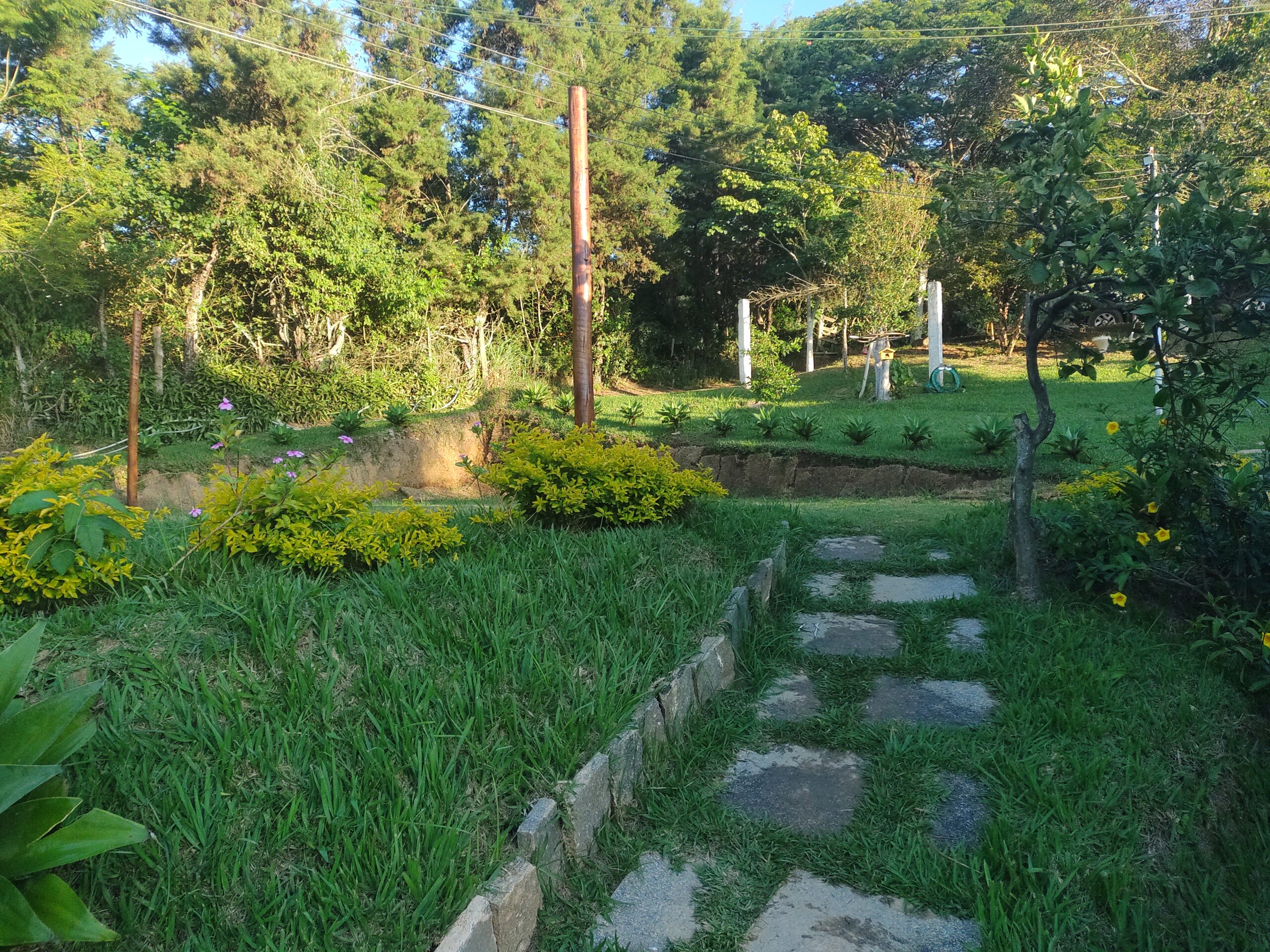 IMG_20220428_164518979