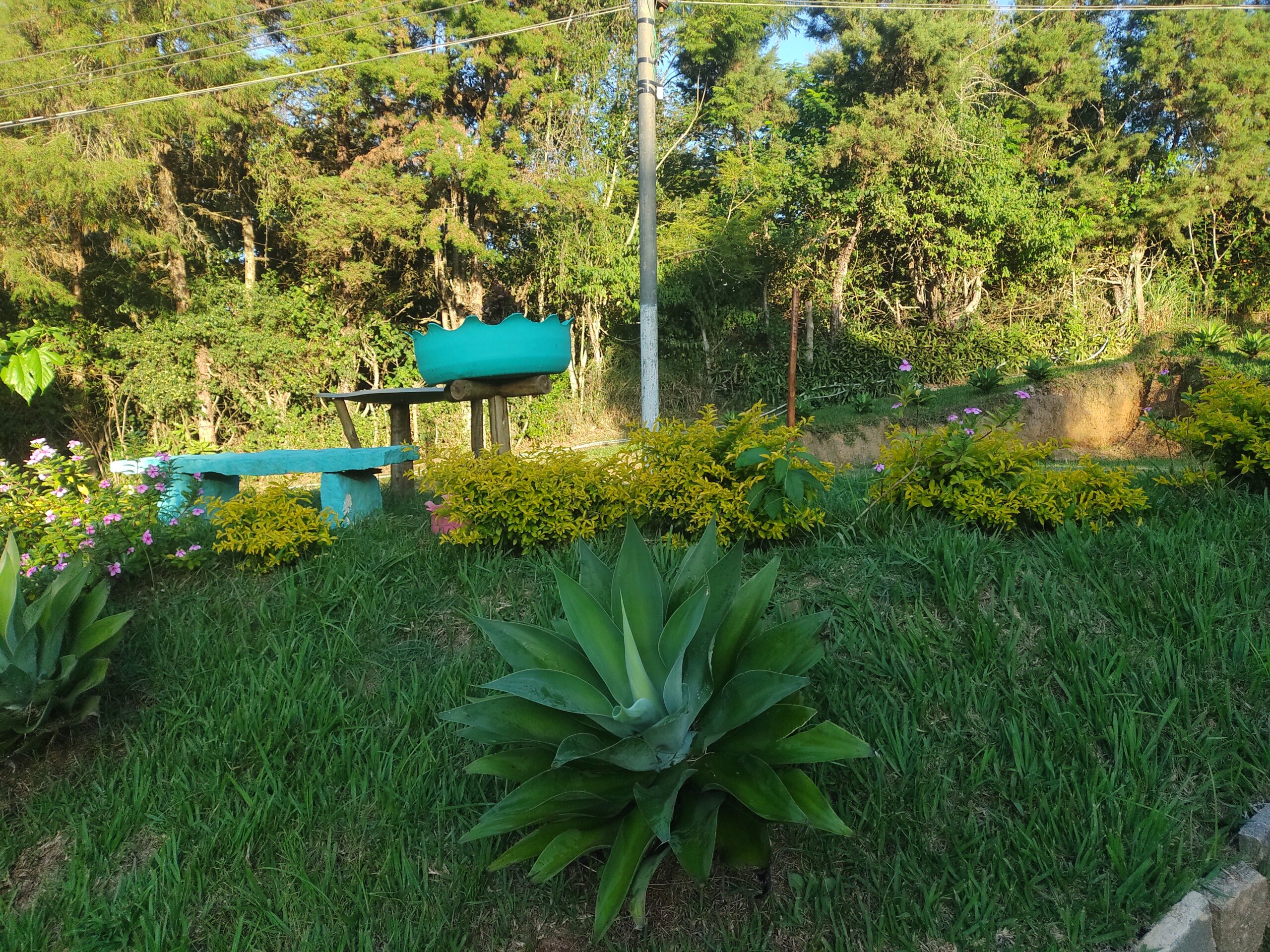 IMG_20220428_164523452