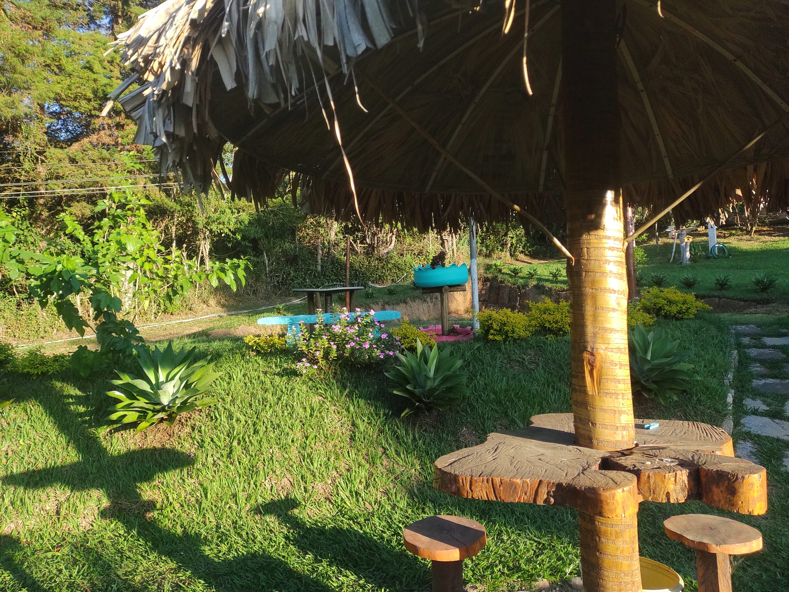 IMG_20220428_164533828