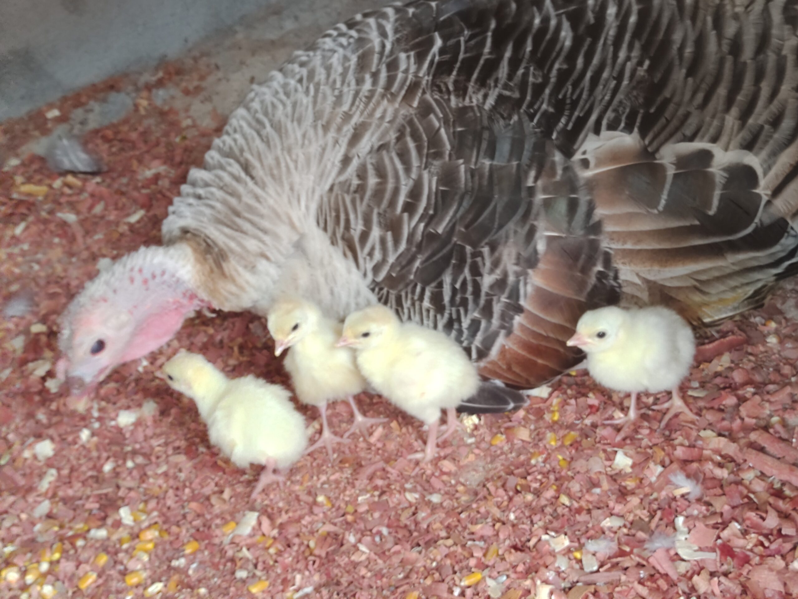 IMG_20220809_145652346