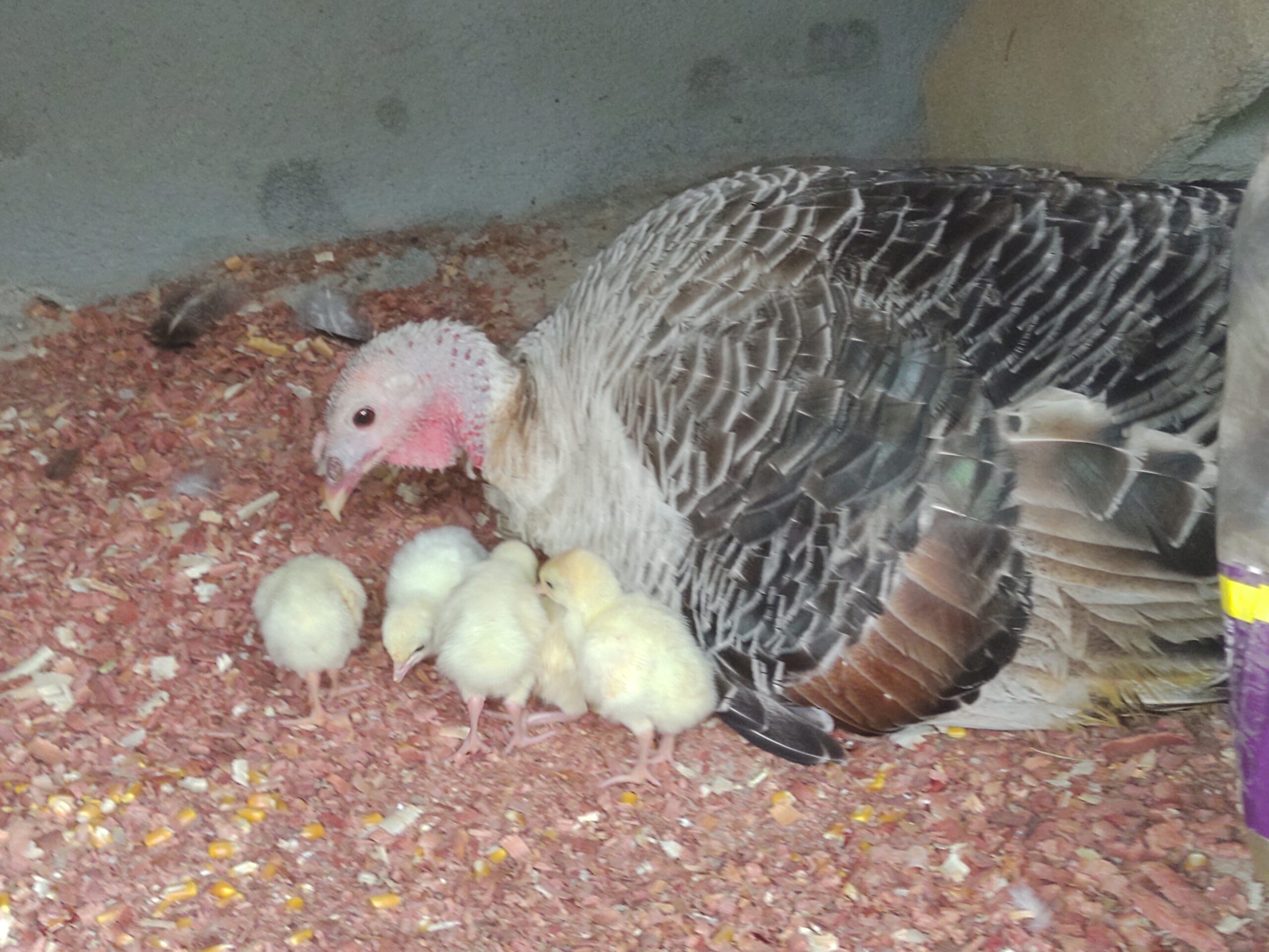 IMG_20220809_145728802