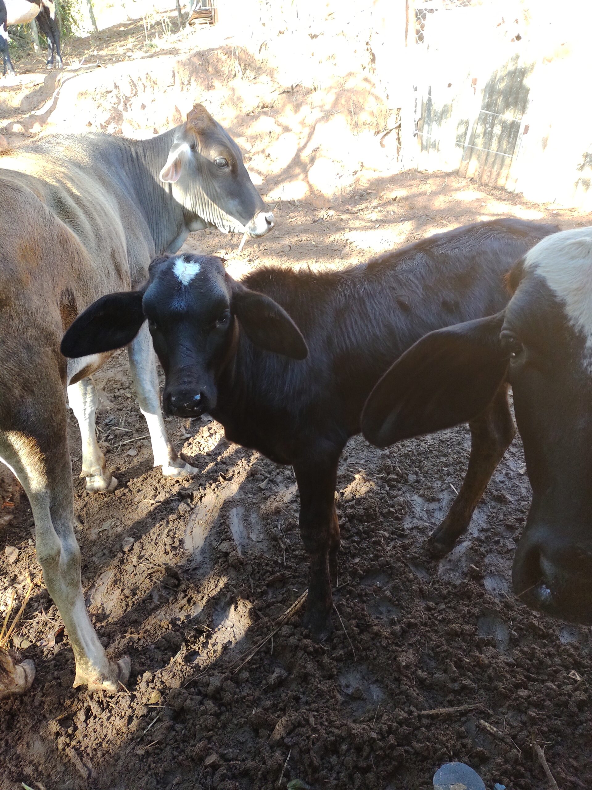 IMG_20220812_083950820