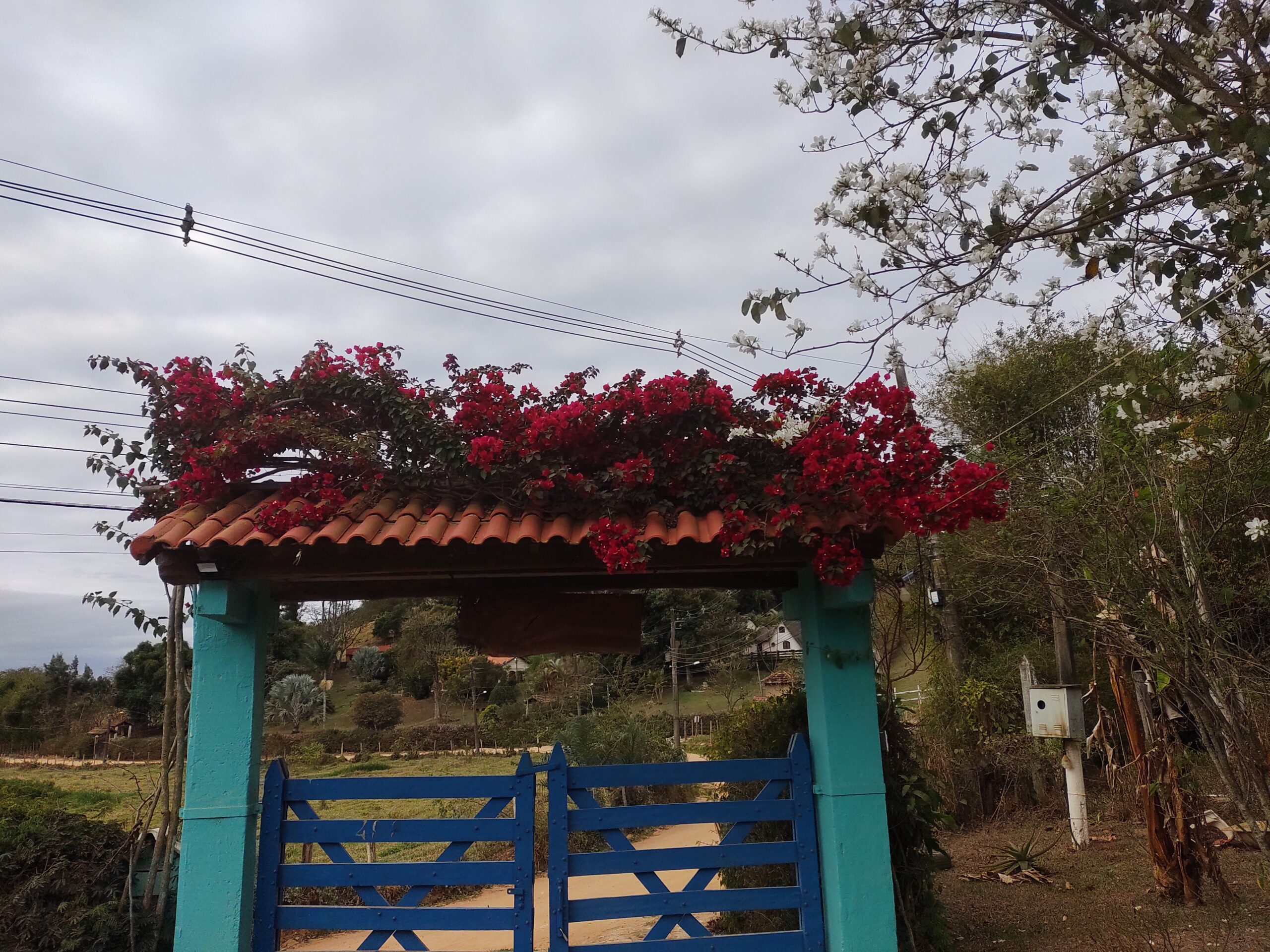 IMG_20220820_160844816