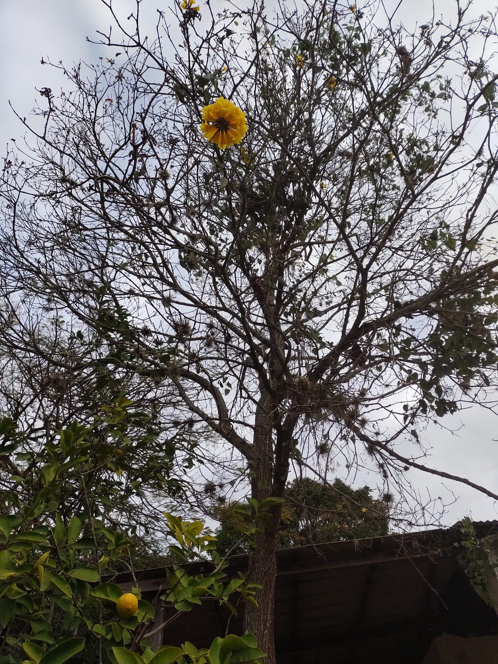 IMG_20220820_161126773