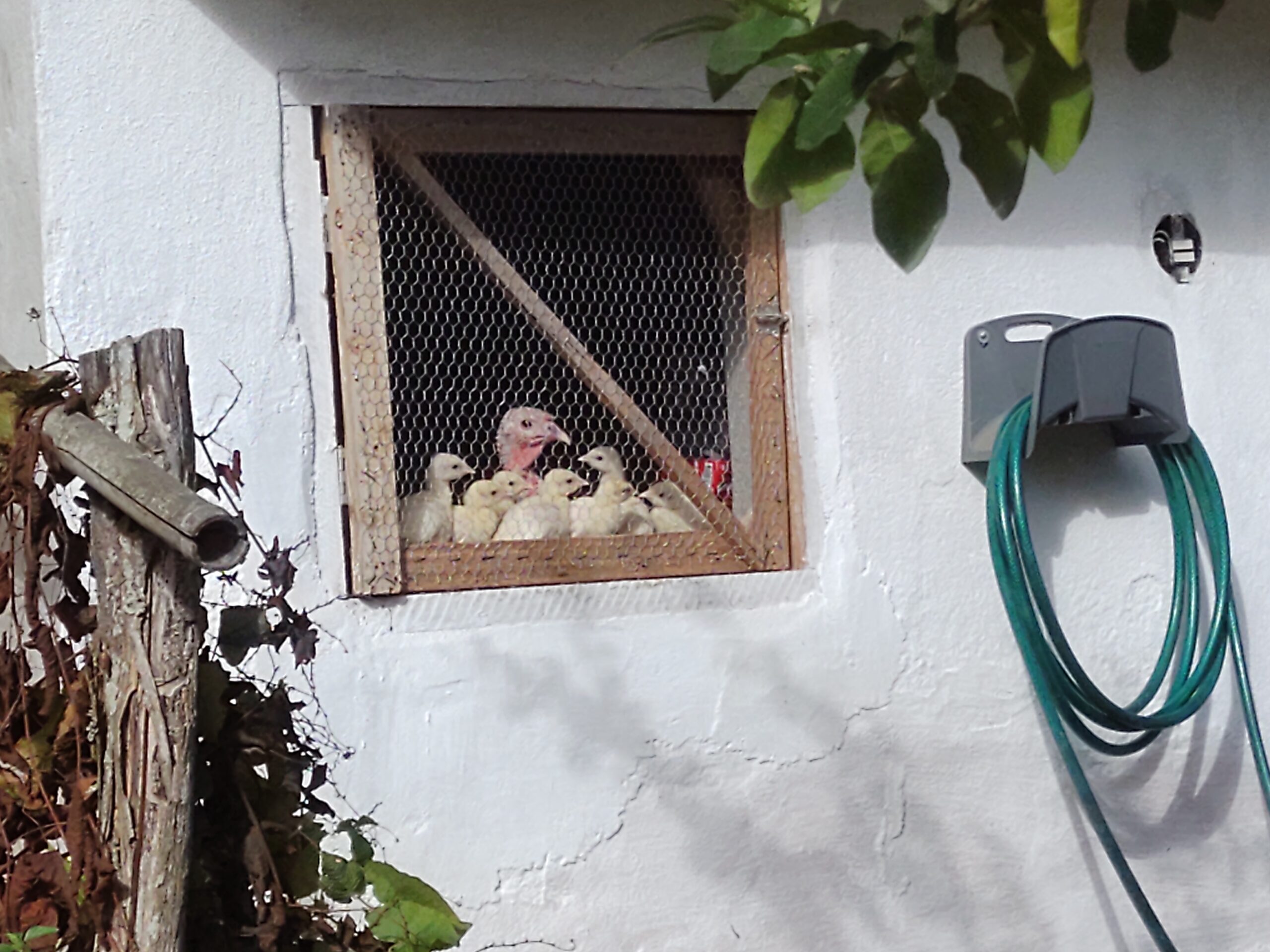 IMG_20220821_083811070