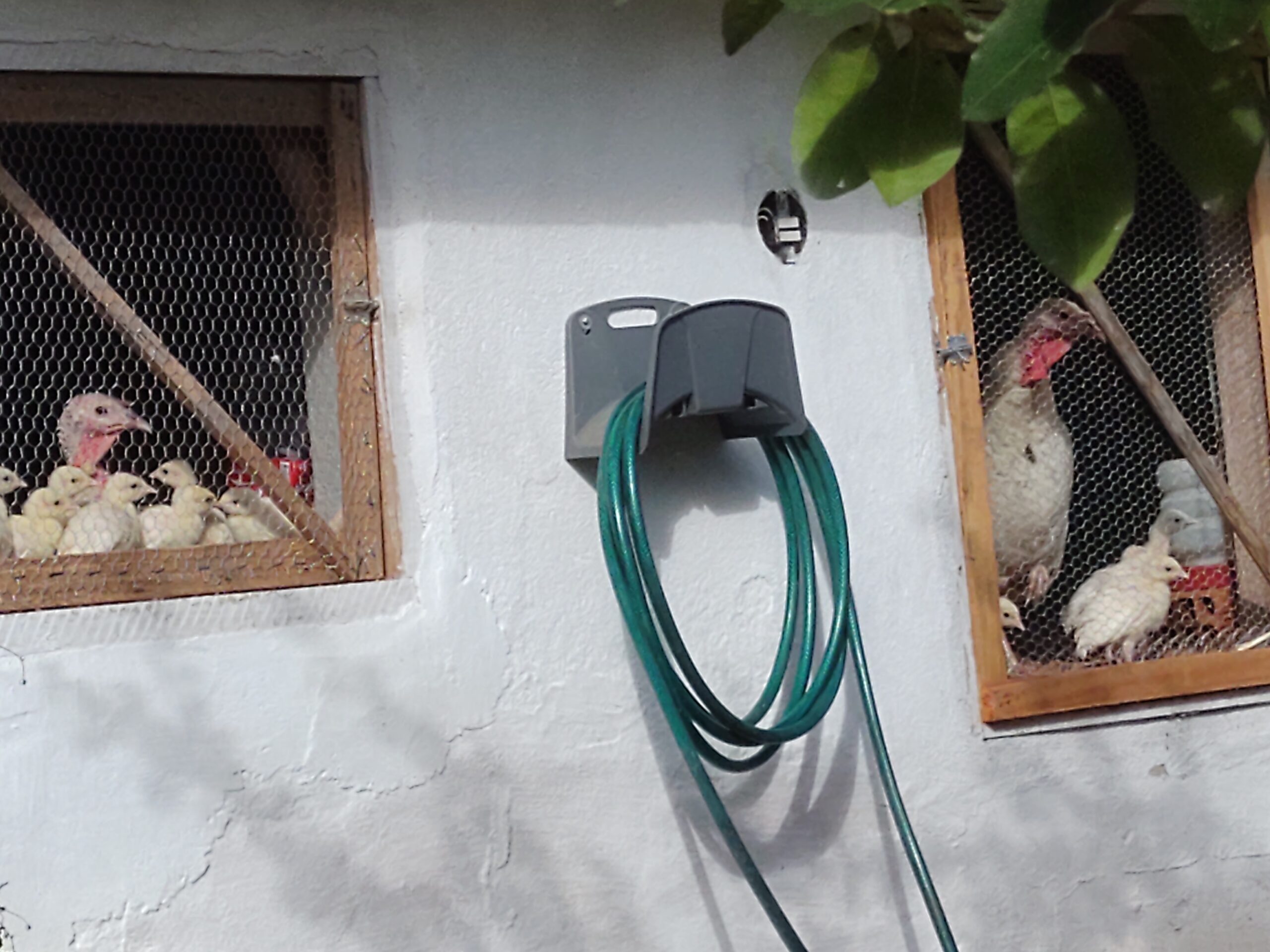 IMG_20220821_083814569